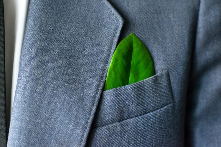 The businessman's photo in a suit with a green leaf in a pocket